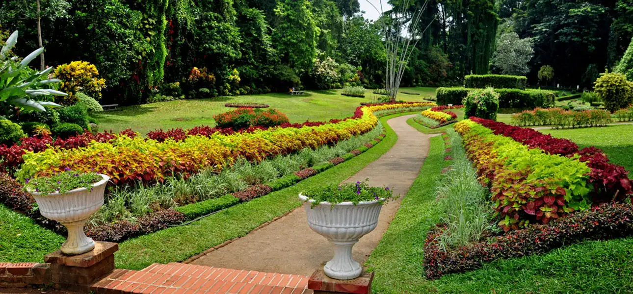 1-Peradeniya-G-1-ezgif.com-optiwebp