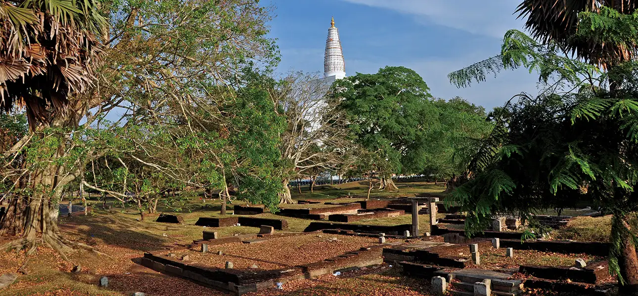 2-Ruwanwelisaya-G-3-ezgif.com-optiwebp