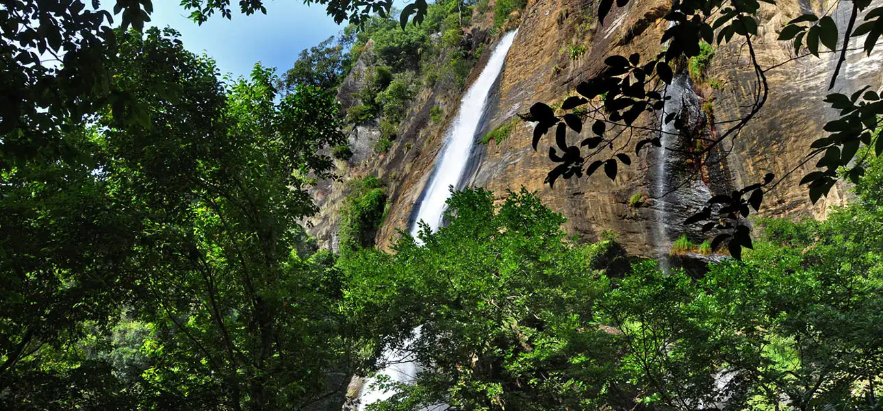 6-PeessaWaterfall-G-3-ezgif.com-optiwebp