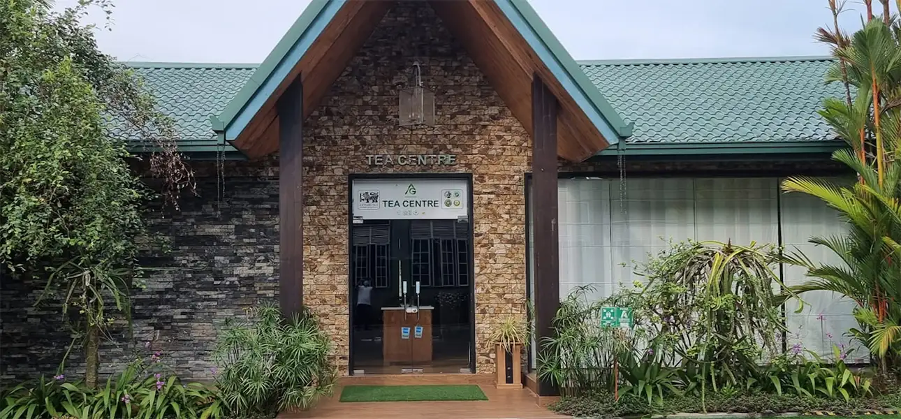 ATHUKORALA TEA FACTORY & TEA CENTRE – Pitigala
