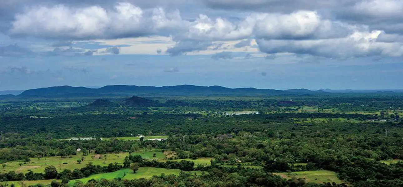 32-Matale-PidurangalaRajaMahaviharaya-B-2-ezgif.com-optiwebp