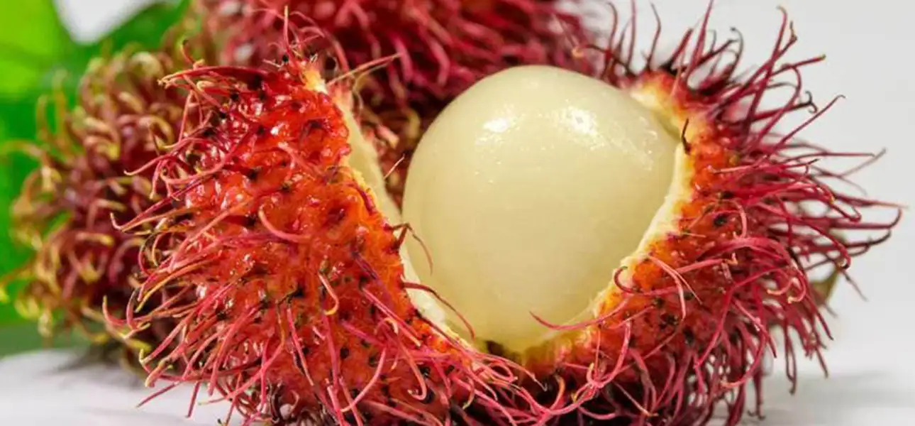 8-FOOD-Rambutan-G-1-ezgif.com-optiwebp