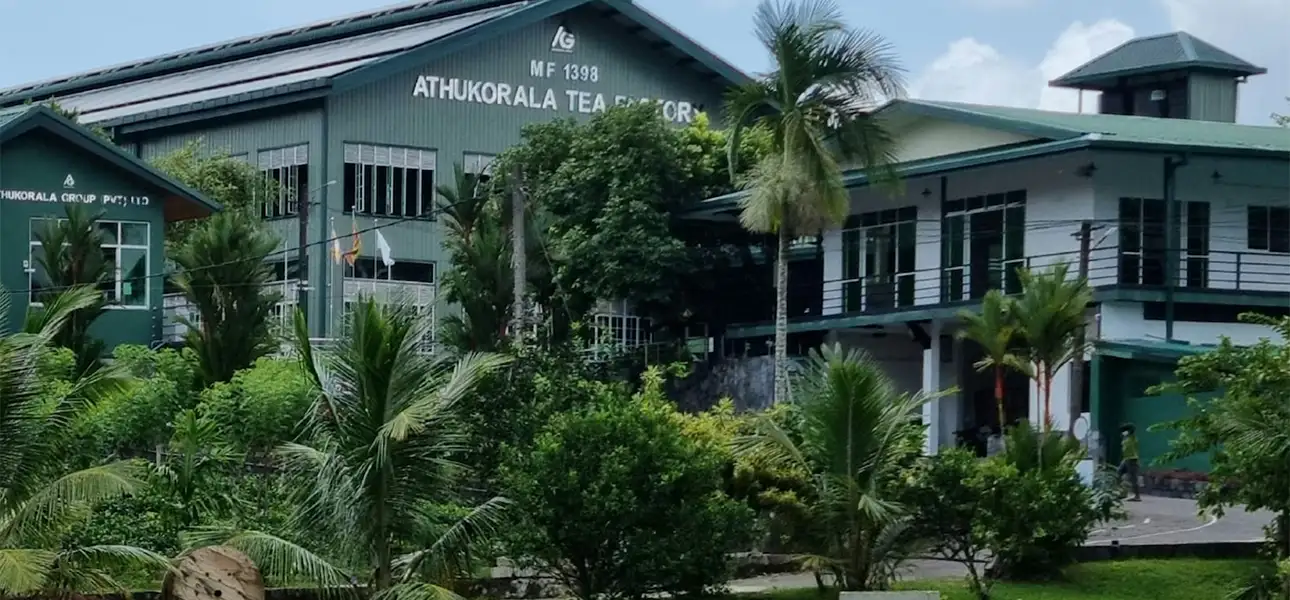 ATHUKORALA TEA FACTORY – Pitigala