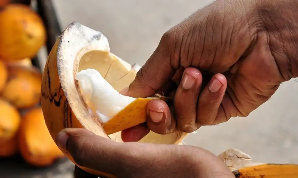 King Coconut in Sri Lanka