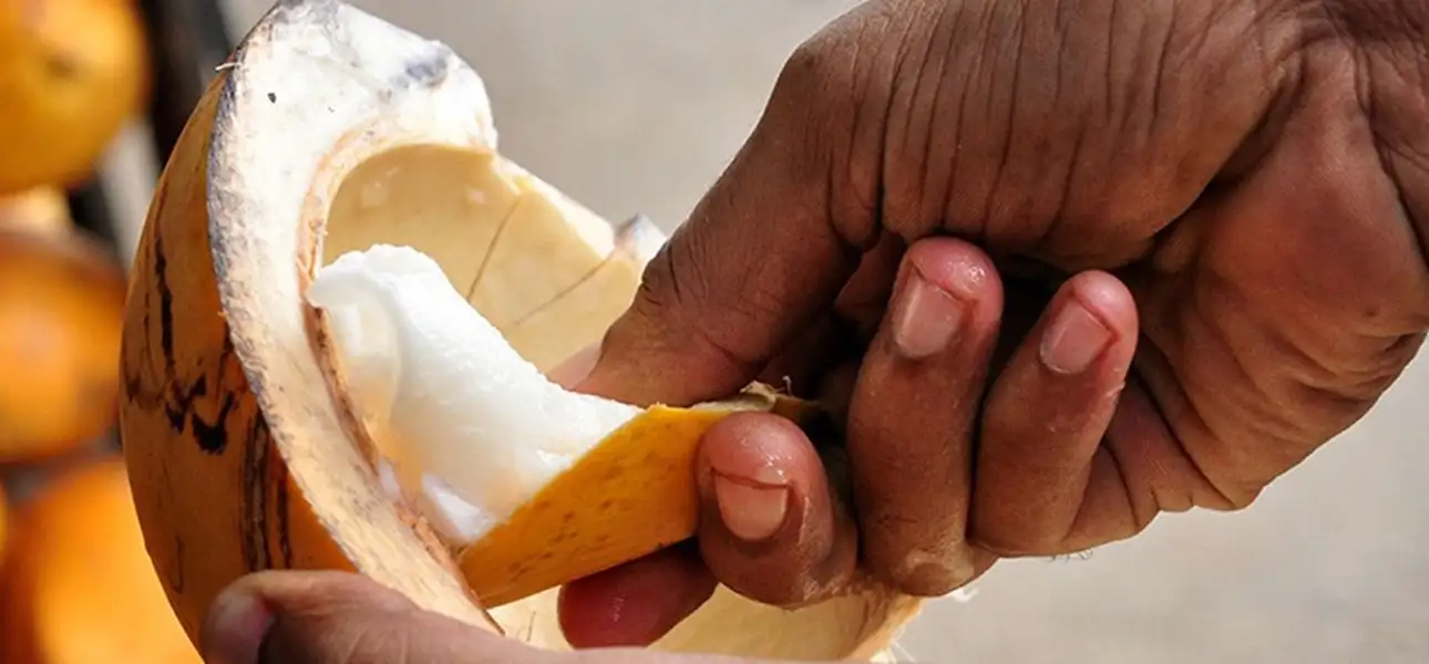 35-FOOD-Kingcoconut-G-1-ezgif.com-optiwebp