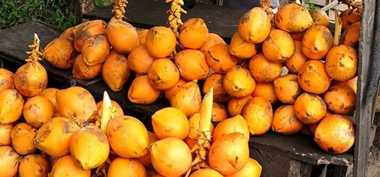 35-FOOD-Kingcoconut-G-2-ezgif.com-optiwebp